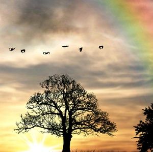 Meet your Posher, Ronda